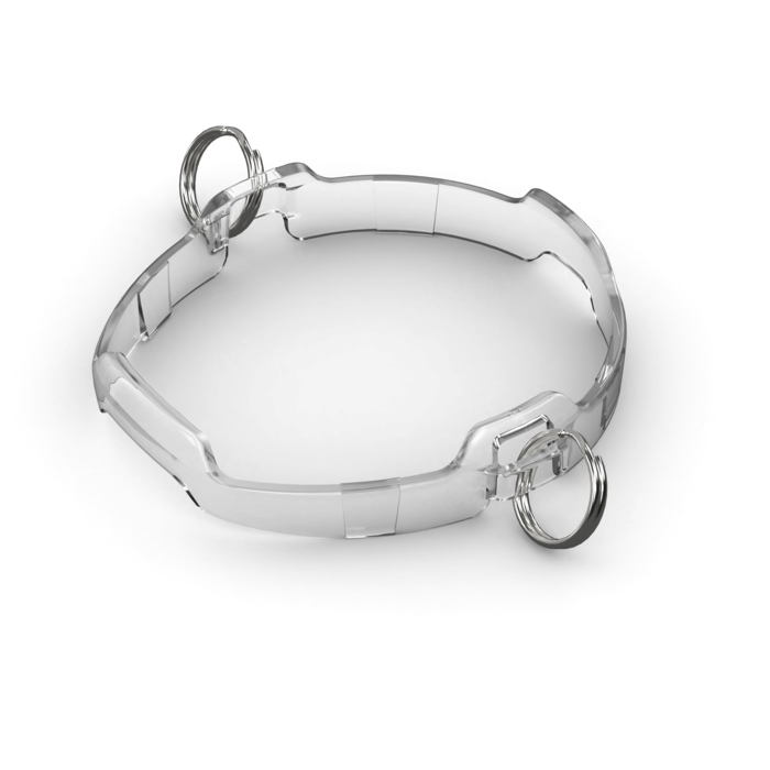 Kanso2_Halo_with_rings_from_PA